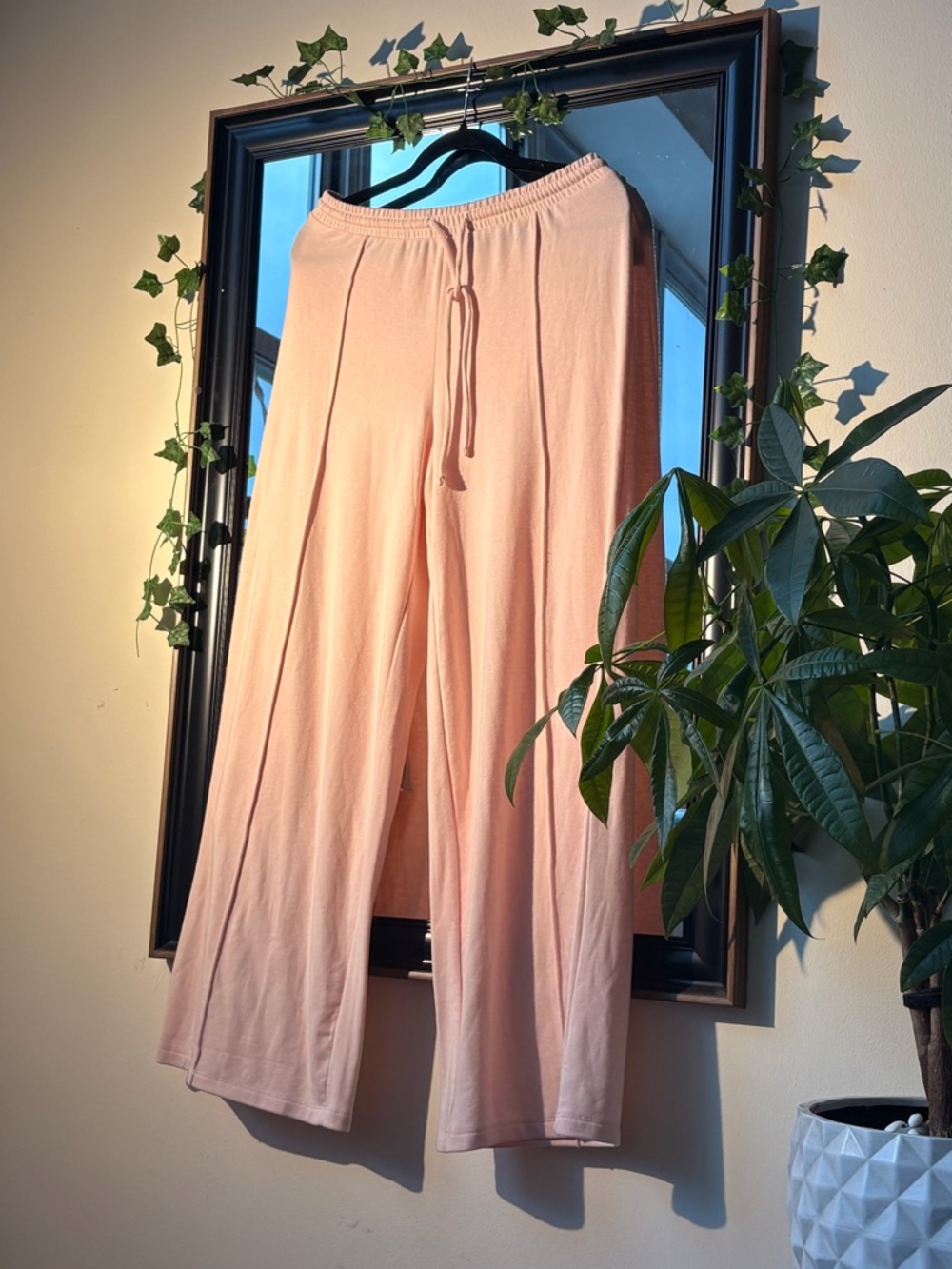 American Eagle Outfitters Wide-Leg Drawstring Pants - Blush